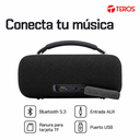 parlante-teros-vibe-vb-6049blk-conexiones.webp