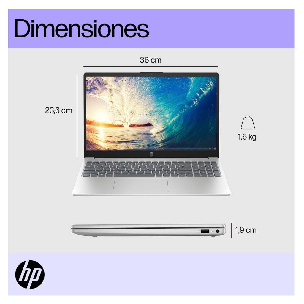 5.webp