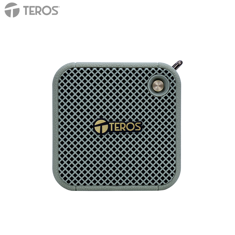 Parlante Inalámbrico Teros Legacy LEG 6051GR Bluetooth